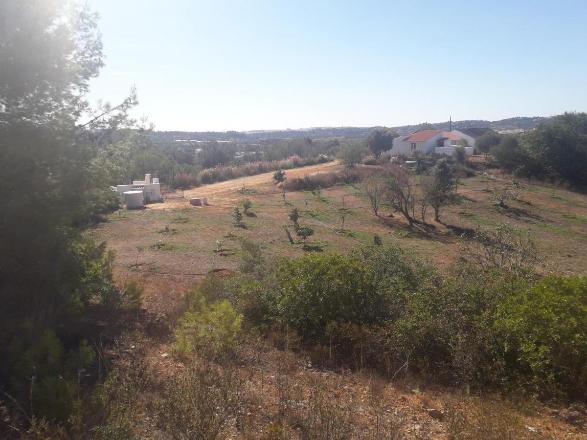 Quinta Da Jolanda-Happy Family Farm Appartement Lagos Buitenkant foto